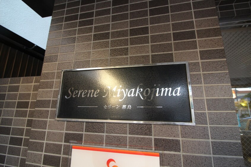 その他 SereneMiyakojima