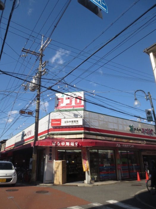 アプロ藤田町店(スーパー)まで210m ALEGRIA藤田町WEST