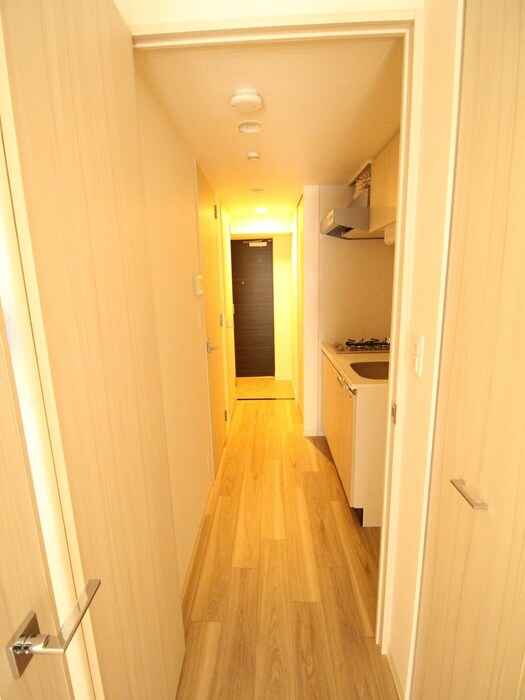 廊下 プレサンス三宮ポルト（205）