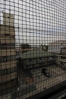 室内からの展望 玉出西１０２４