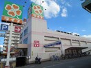 ライフ(スーパー)まで682m ソレイユ