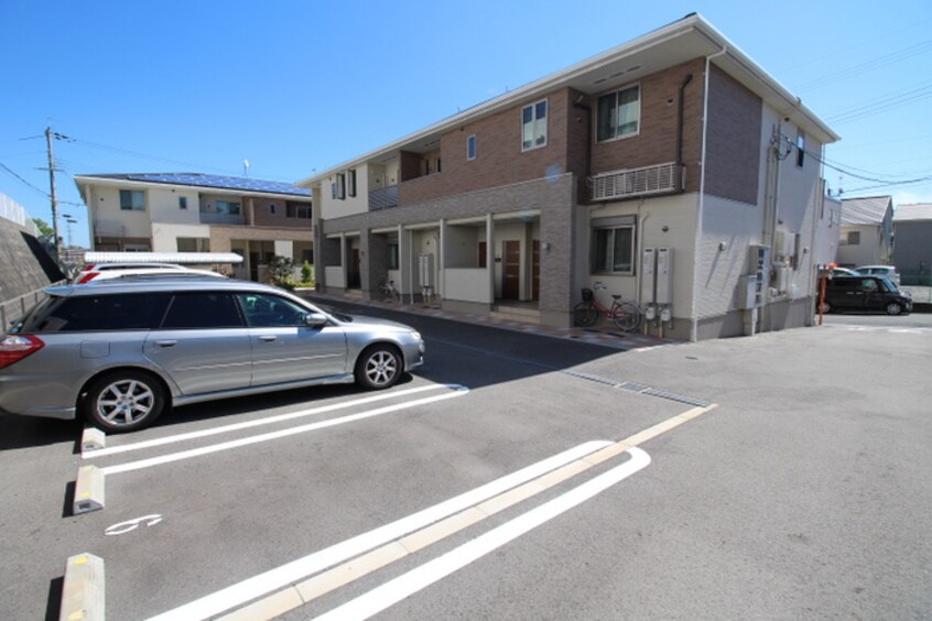 その他 レディバードポイントA