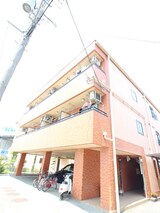 ダンデライオン