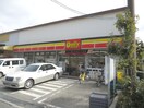 デイリーヤマザキ 守口八雲店(コンビニ)まで437m ヴィオス９