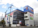 EDION(電気量販店/ホームセンター)まで350m メテオール稲野