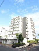 スギタパティオ６０の外観