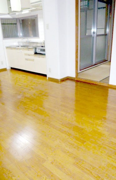 居室 グランレ－ヴェ