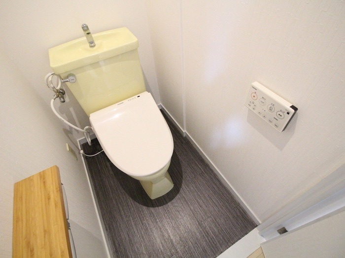 トイレ シダ　ヴィレッジ