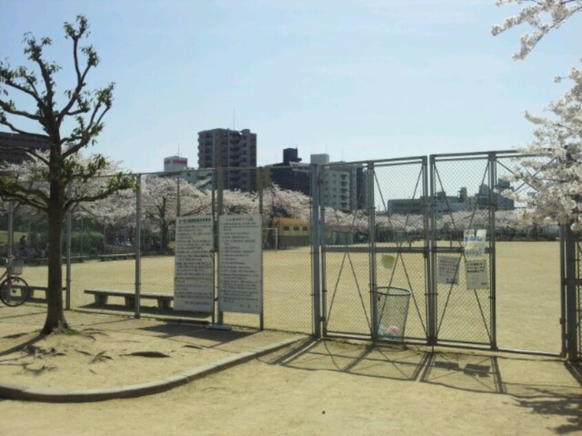 上ヶ池公園(公園)まで340m ロイヤルコ－ト西明石Ⅰ