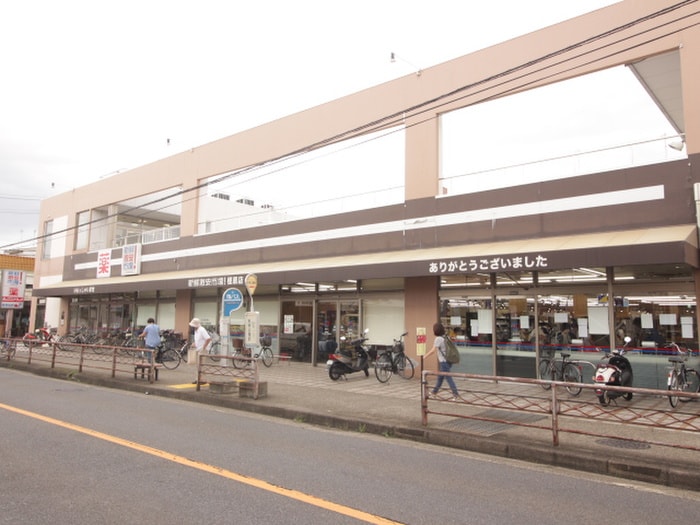 薬局(ドラッグストア)まで650m 北ノ口安田マンション