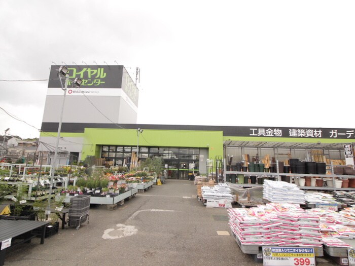 ロイヤルホームセンター(電気量販店/ホームセンター)まで120m 北ノ口安田マンション