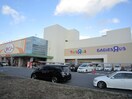 ベビーザラス(電気量販店/ホームセンター)まで1069m ＳＡＩＳＥＩ