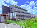 サンフォレストスギモト
