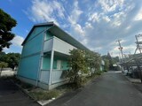 プチグリーン