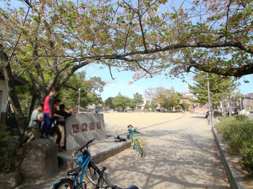 大塚公園(公園)まで144m ｅ-ｔｏｗｎ長成Ｃ号地