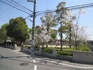 清水公園(公園)まで450m ユニメント桂