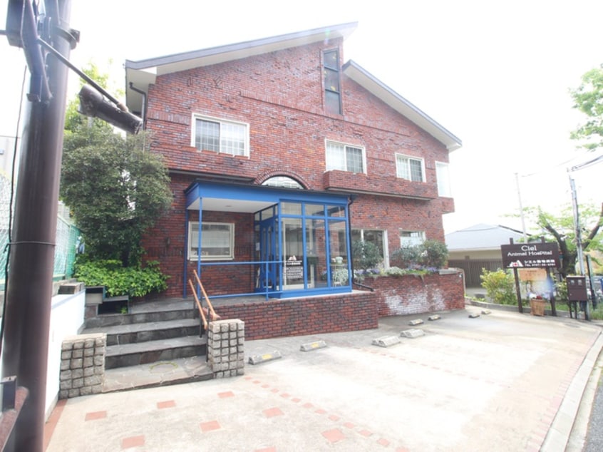 シエル動物病院(病院)まで650m パークシュロス芦屋