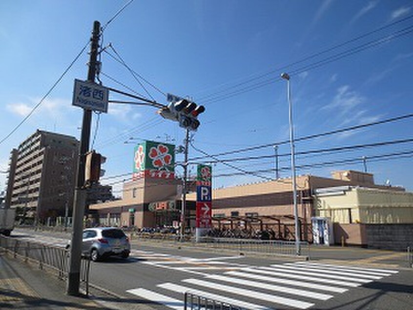 ライフ 御殿山店(スーパー)まで899m サンエ－ル小野
