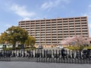 ﾌｧﾐｰﾙ二条ｽﾃｰｼｮﾝｻｲﾄﾞ（411）の外観