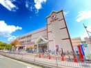 マツモト五条店(スーパー)まで230m PIERIS GARDEN