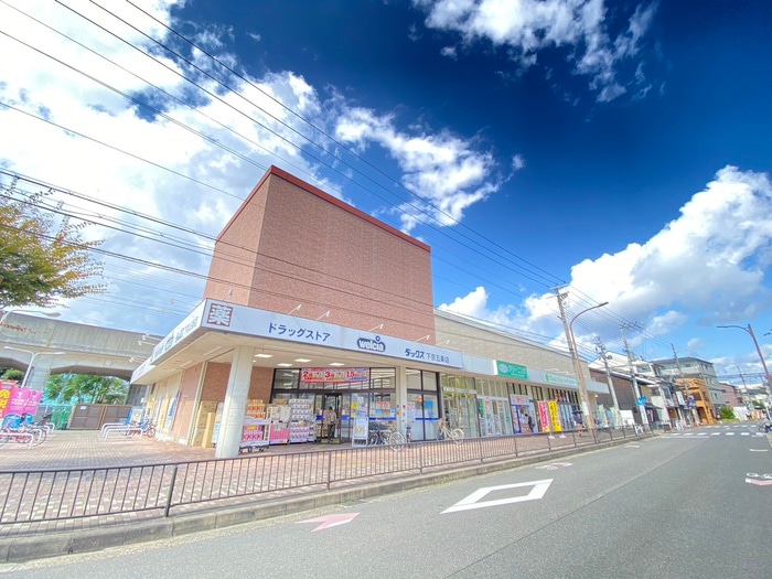 ダックス下京五条店(ドラッグストア)まで210m PIERIS GARDEN