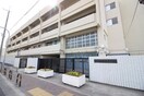 堺市立陵西中学校(中学校/中等教育学校)まで1000m フェスタ大仙
