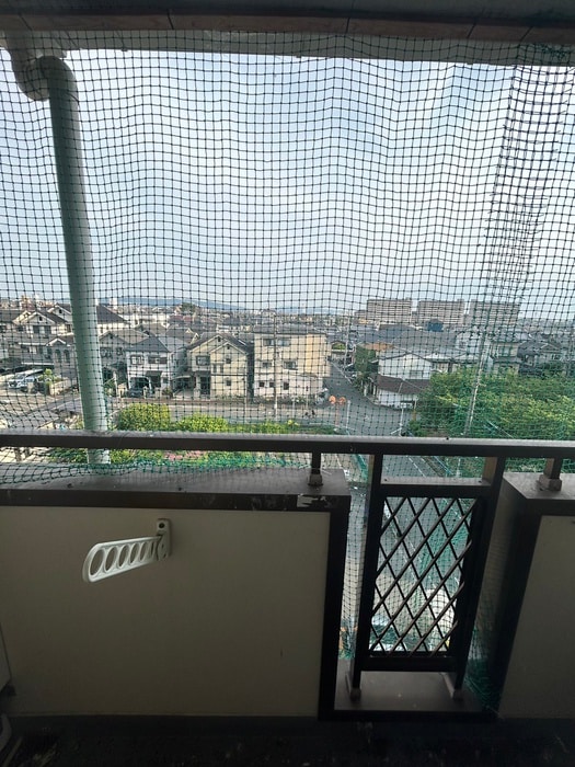 室内からの展望 シャングリ・ラ