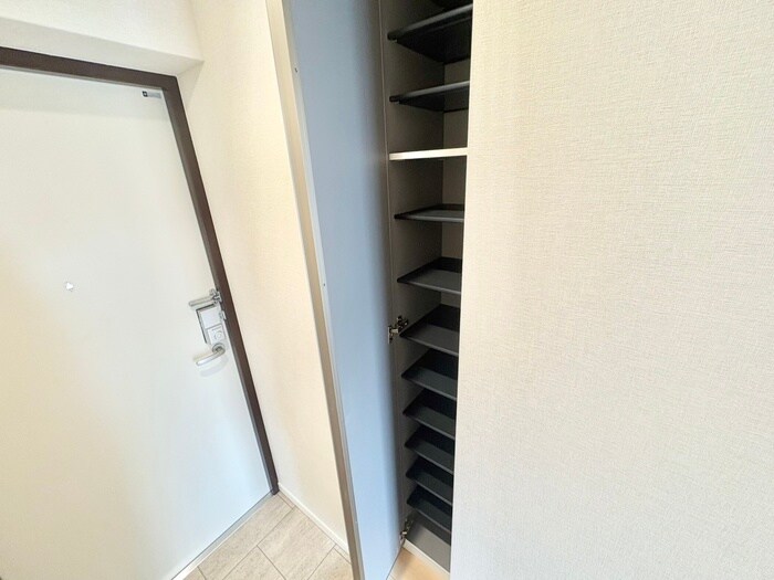 靴箱 エルピスN5