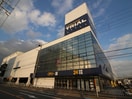 トライアル寝屋川大成店(ディスカウントショップ)まで550m エトワ－ル川下Ａ棟
