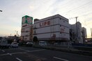 ライフ巽店(スーパー)まで531m ＮＣマンション巽