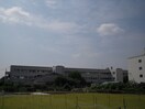 寝屋川市立啓明小学校(小学校)まで600m セントポリア高柳