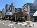 ライフ(スーパー)まで600m ｾｵﾘｰ大阪ﾊｰﾊﾞｰDOOR(304)