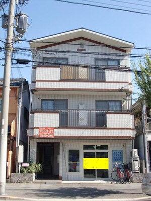 ホワイトオーキッド