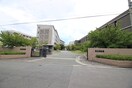 関西大学堺キャンパス(大学/短大/専門学校)まで290m フェスタ香ヶ丘