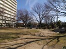 公園(公園)まで160m エヌエムヴァンキャトフ