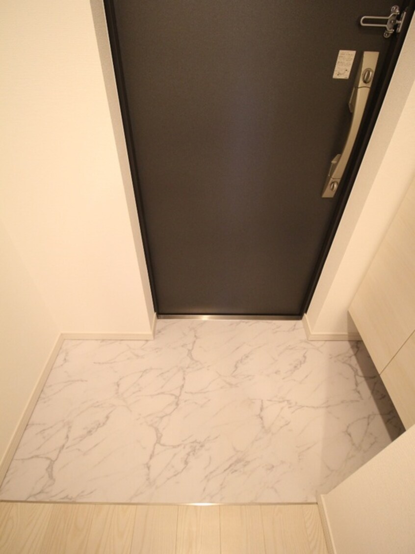 玄関 S-RESIDENCE江坂Alegria