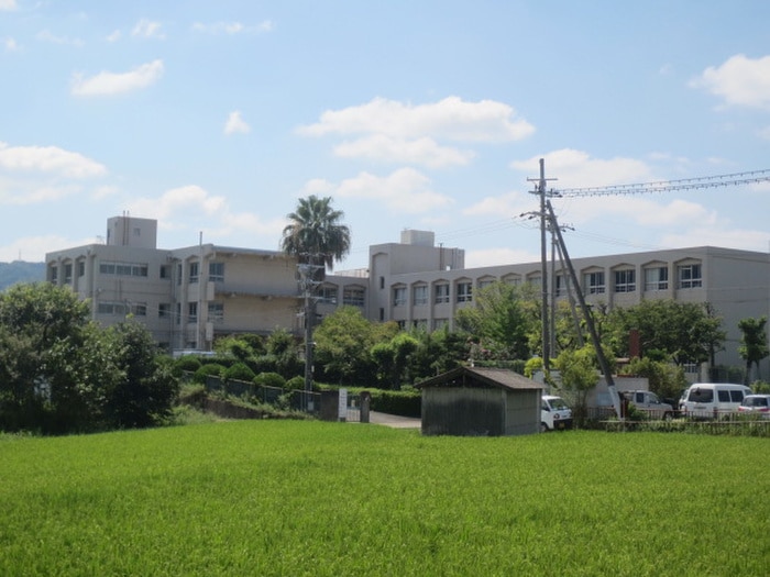 藤が尾小学校(小学校)まで359m フジパレス藤が尾