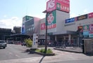 ライフ高槻城西店(スーパー)まで240m ハイツ陽光