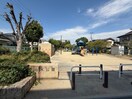 舟木公園(公園)まで850m 五十鈴ハイツ