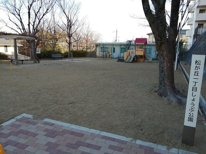 松が丘一丁目しょうぶ公園(公園)まで300m 石津パノラマハイツＡ棟（203）