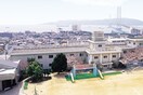 愛徳小学校(小学校)まで800m サンモール星ヶ丘