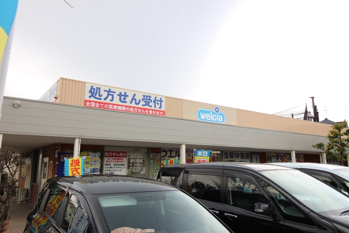 ヘルシードラッグ(ドラッグストア)まで1000m ライフイン宝塚