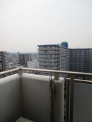 室内からの展望 ﾌﾟﾗｲﾑｽ堺駅前フェニックス通り