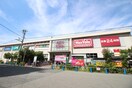ニトリ平野店(電気量販店/ホームセンター)まで550m ラ　ヴィータ平野