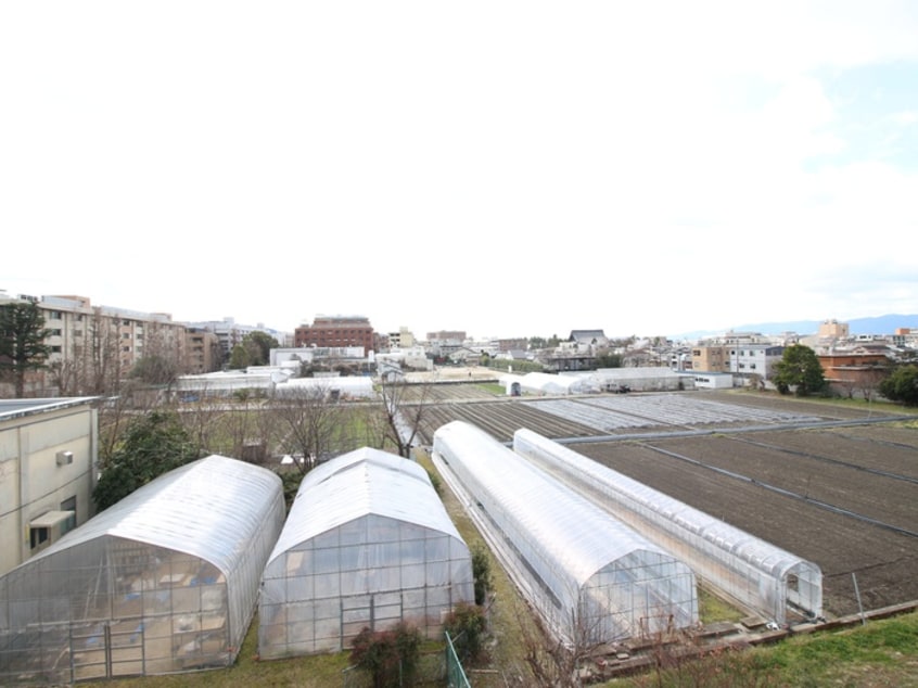 室内からの展望 ドリーミーＭ