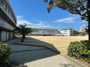 伊丹市立伊丹小学校(小学校)まで650m ハイツ桜ケ丘