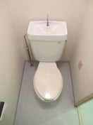 トイレ エクセレント林