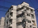 ビルドシャナの外観