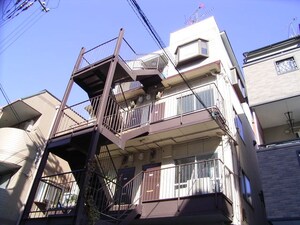 リトルブラウン