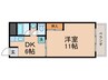 メゾンド白河 1DKの間取り